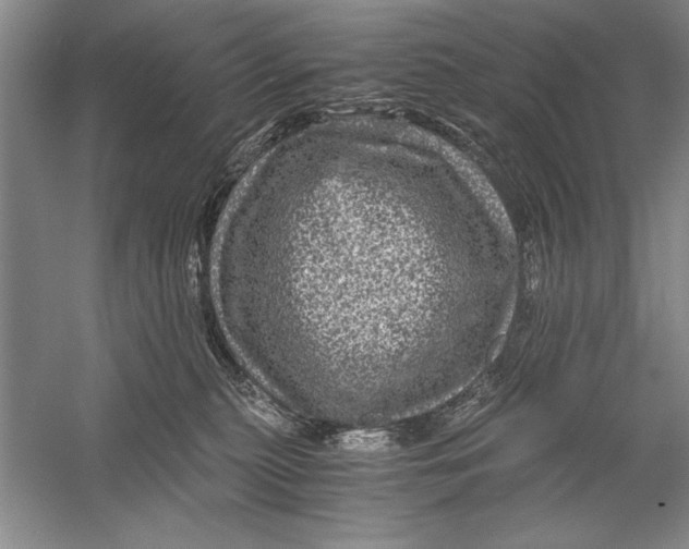 X0000056380279200509232232