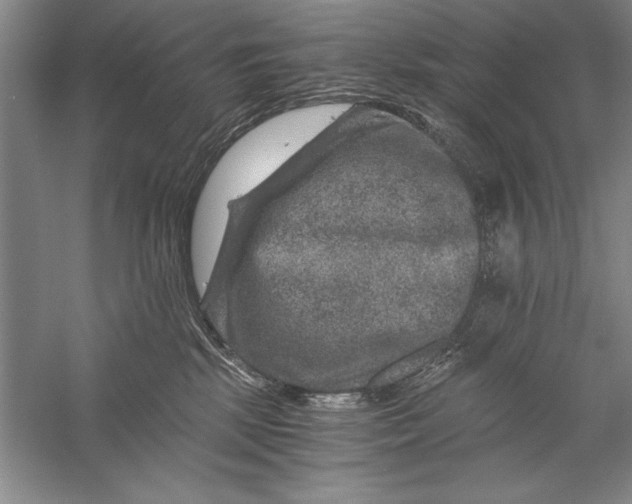 X0000056380281200509232232