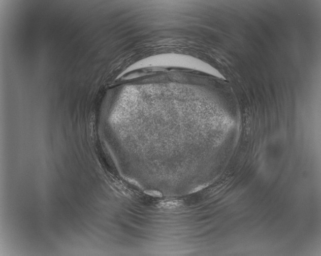 X0000056380283200509232233