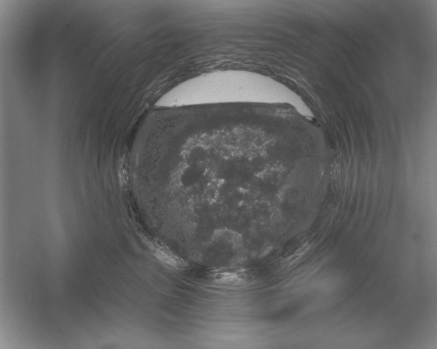 X0000056380285200509232233