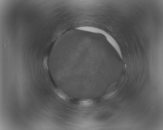 X0000056380286200509232233