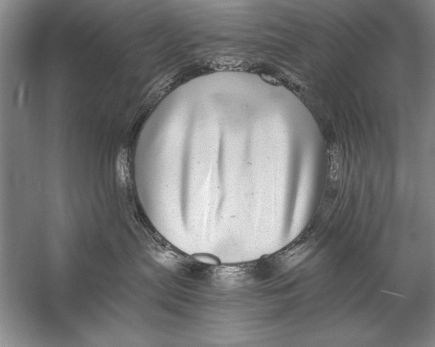 X0000056380287200509232233