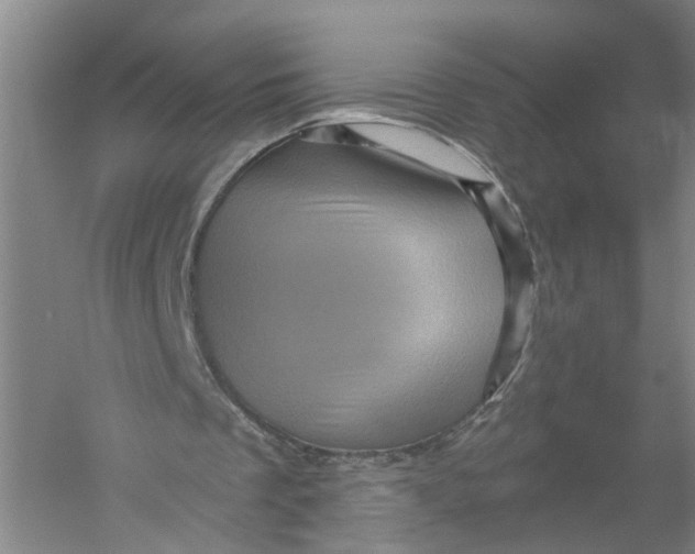 X0000056380289200509232232