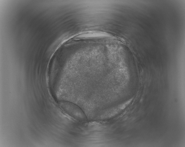 X0000056380290200509232232