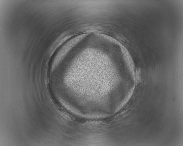 X0000056380291200509232232