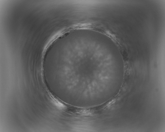 X0000056380293200509232232