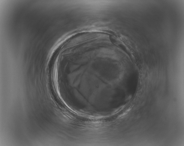 X0000056380295200509232232