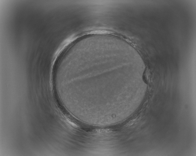 X0000056380296200509232232