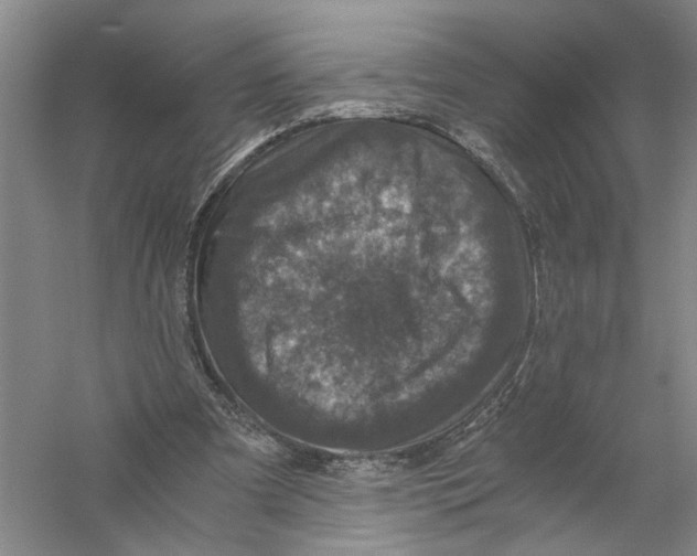 X0000056380297200509232232