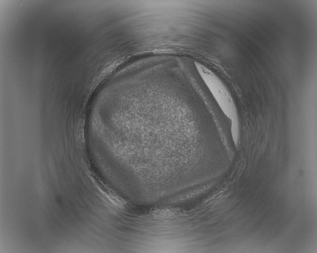 X0000056380299200509232232