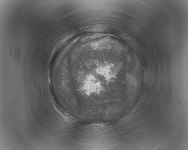 X0000056380302200509232232