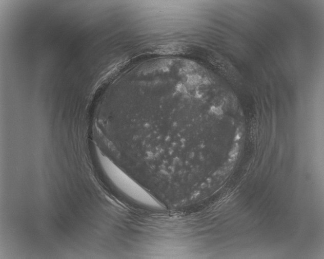 X0000056380303200509232232