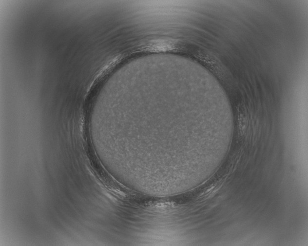 X0000056380304200509232232