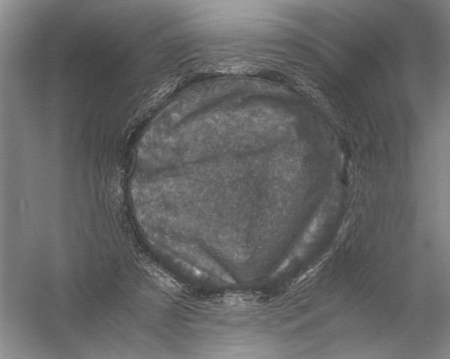 X0000056380305200509232231