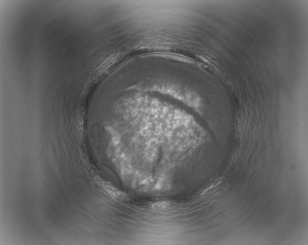 X0000056380309200509232231