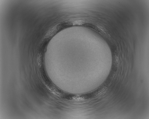 X0000056380311200509232231