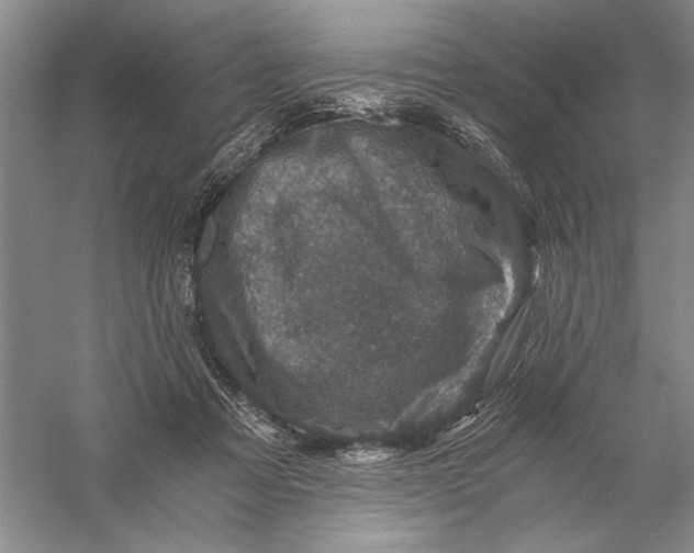 X0000056380313200509232231