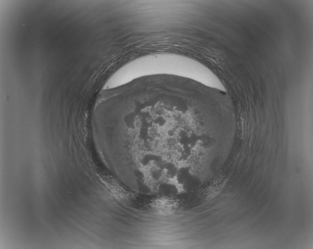 X0000056380319200509232231