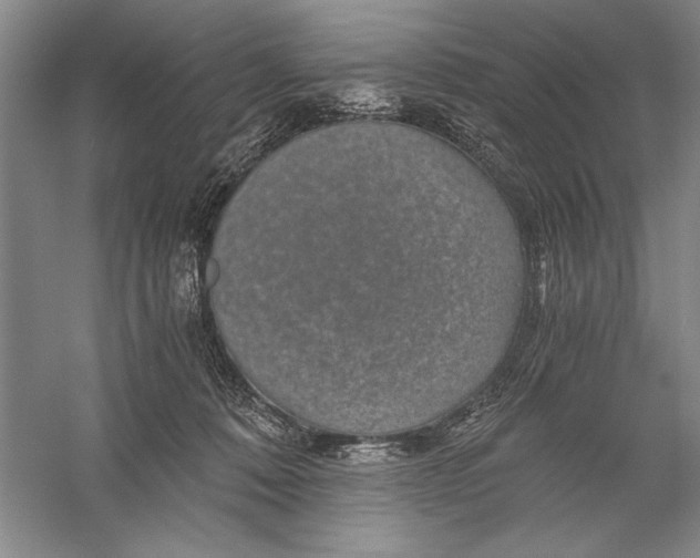 X0000056380320200509232231