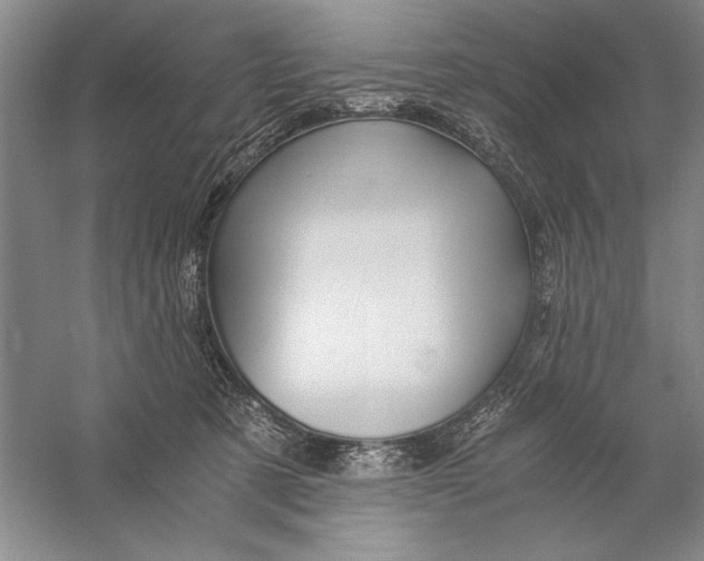 X0000056380321200509232231