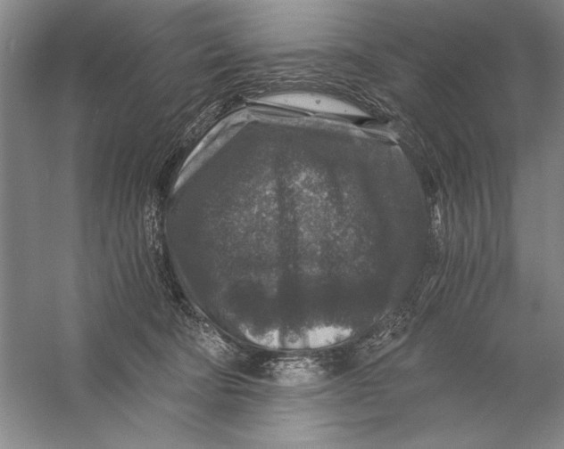 X0000056380322200509232231