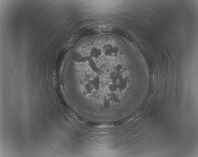 X0000056380323200509232231