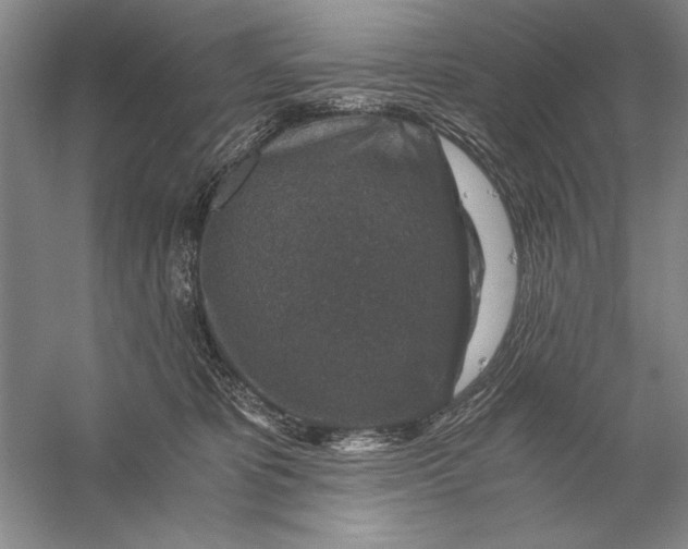 X0000056380325200509232231