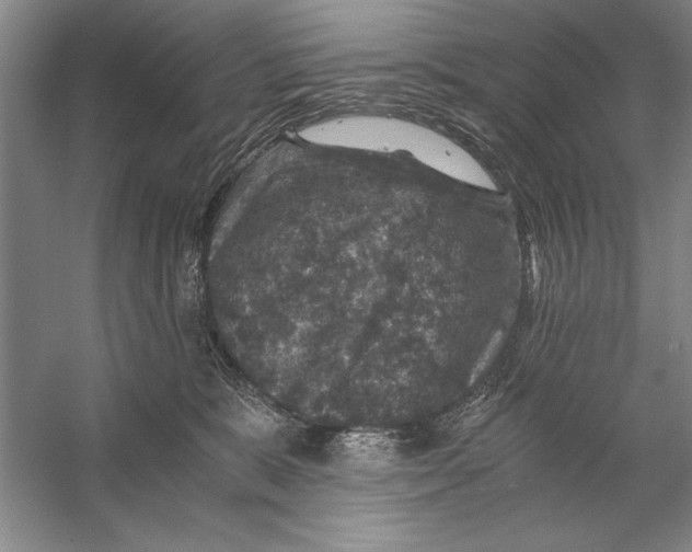 X0000056380327200509232231