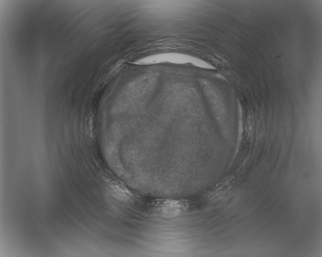 X0000056380330200509232231