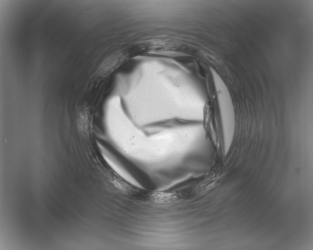 X0000056380333200509232231