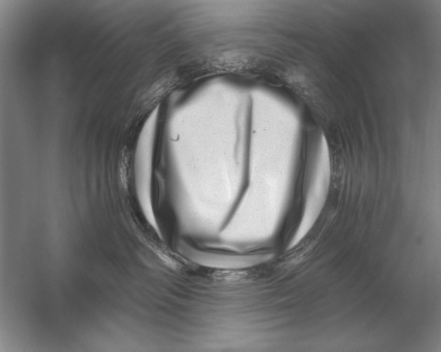 X0000056380334200509232231