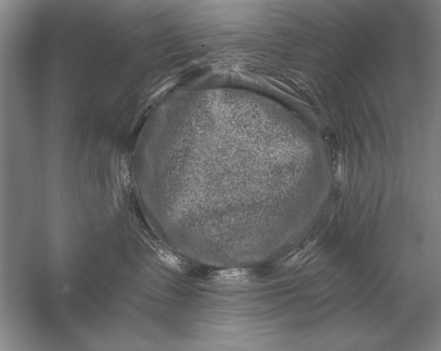 X0000056380335200509232231