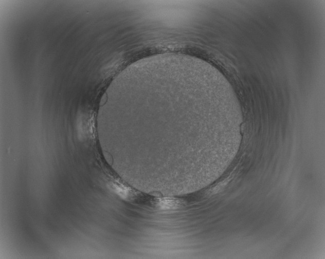 X0000056380336200509232231