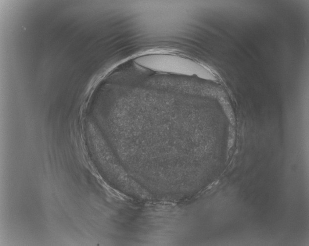 X0000056380337200509232230