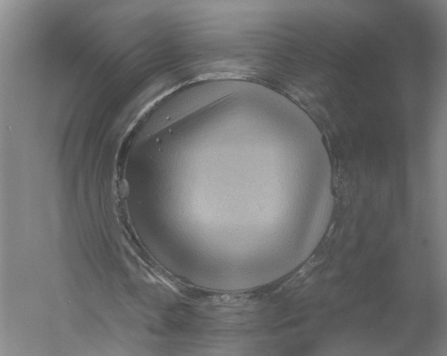 X0000056380338200509232230