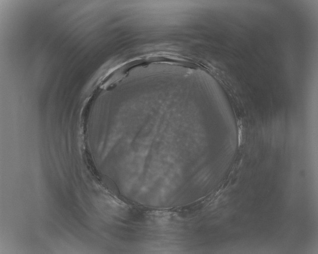 X0000056380339200509232230