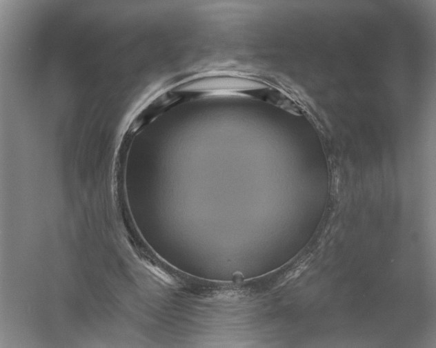 X0000056380344200509232230