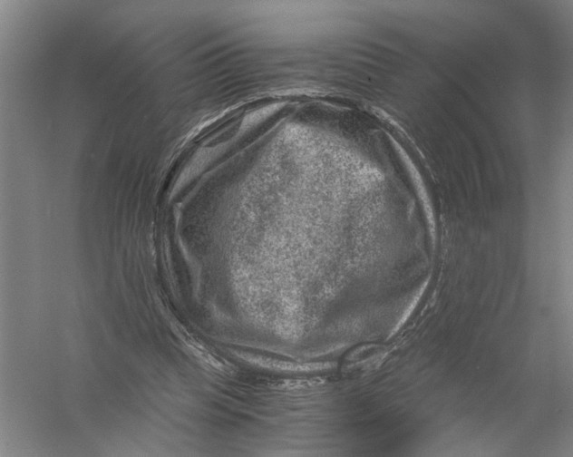 X0000056380345200509232230