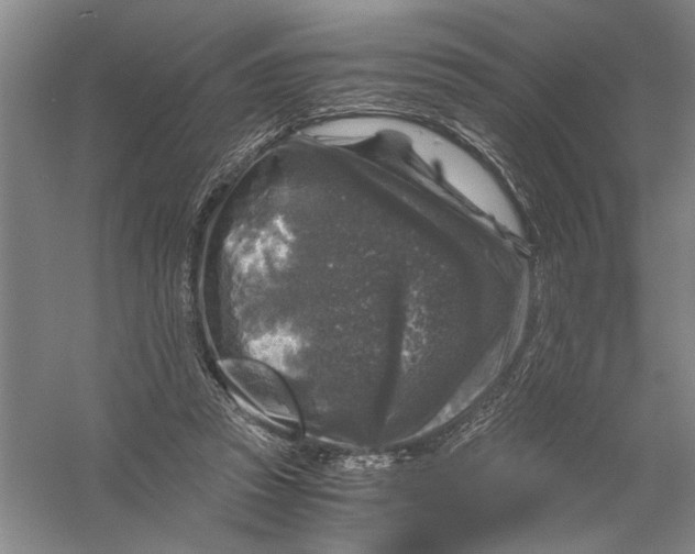 X0000056380353200509232230