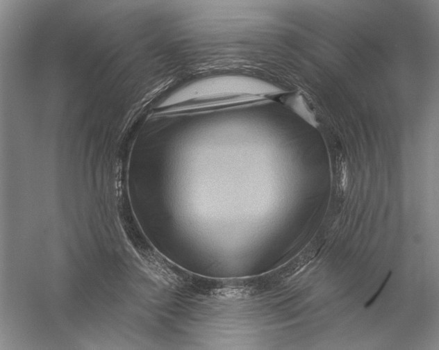 X0000056380356200509232230