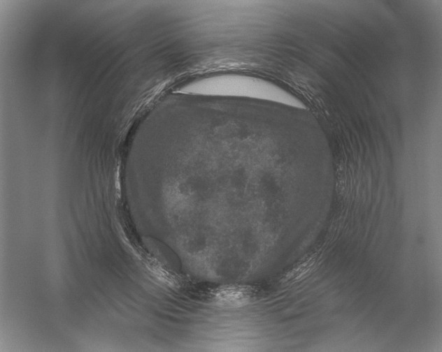 X0000056380358200509232231