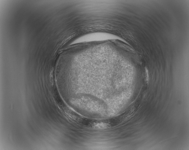 X0000056380360200509232231