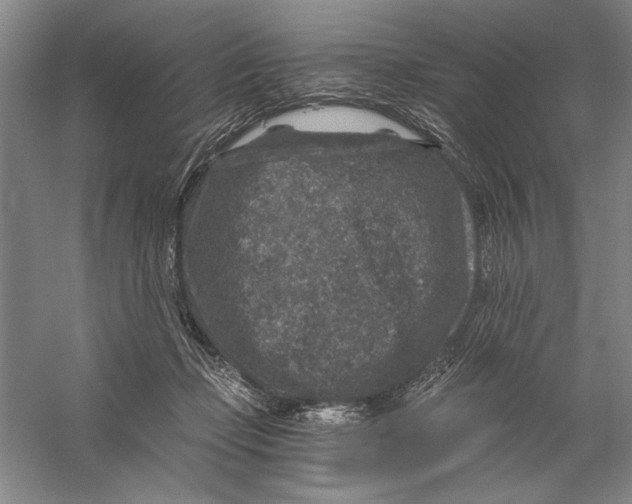 X0000056380365200509232231