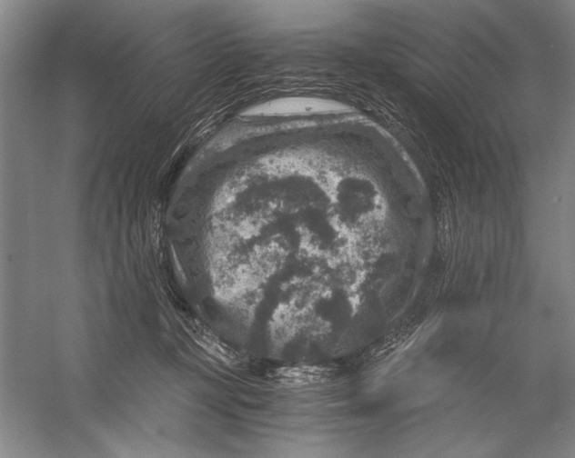 X0000056380367200509232231