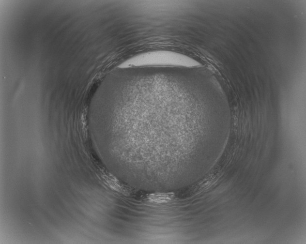 X0000056380373200509232231