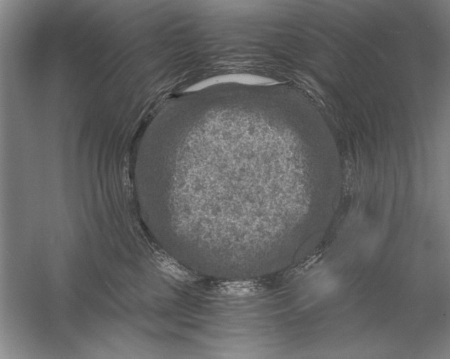 X0000056380377200509232231