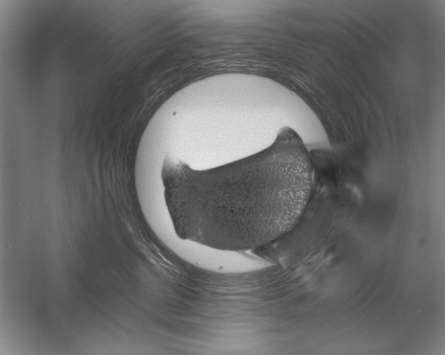 X0000056380380200509232231