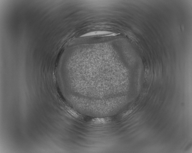 X0000056380381200509232231