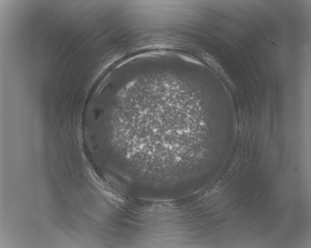 X0000056380386200509232230