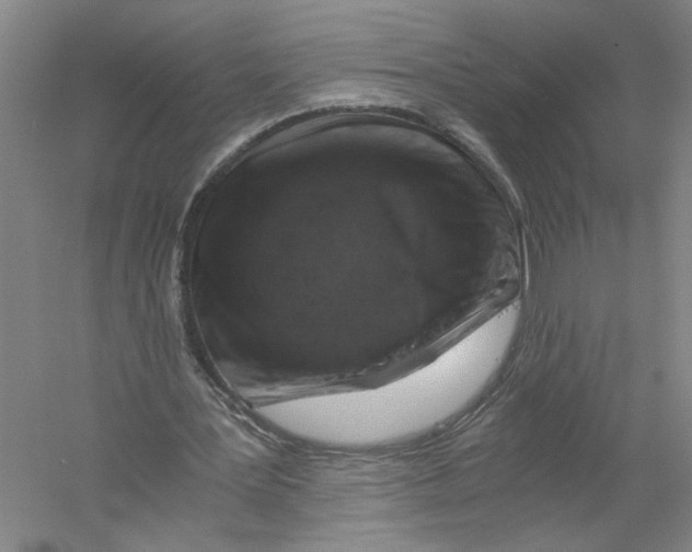 X0000056380387200509232230